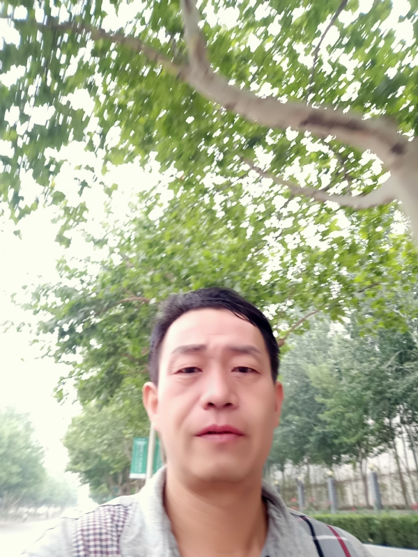 阳光的第一张照片--政和相亲网