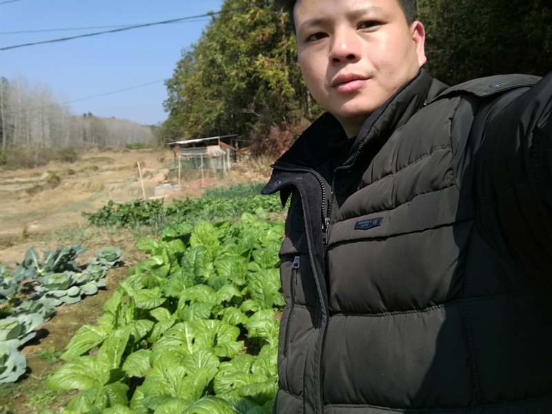 倔强的驴的第一张照片--政和相亲网