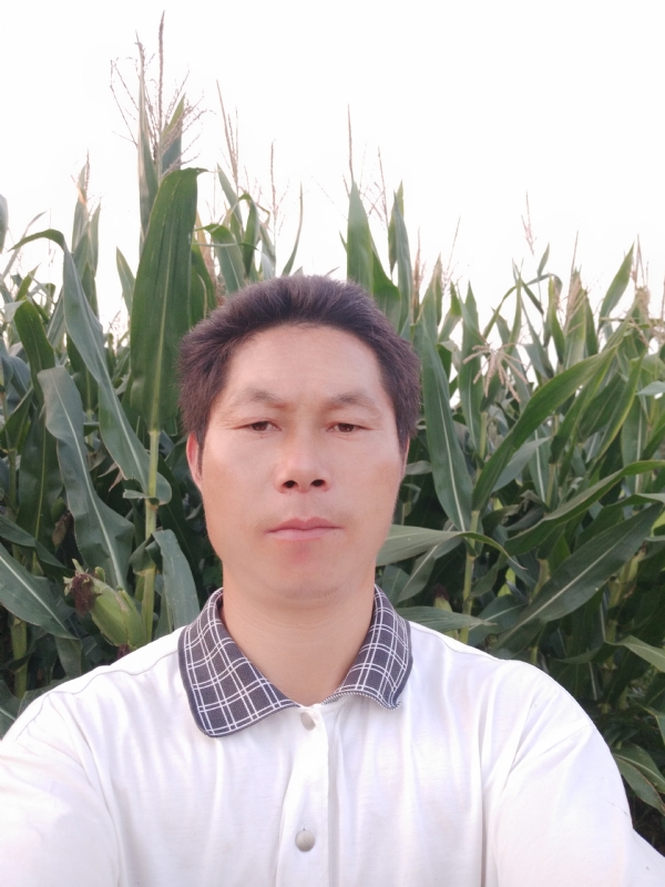 四海游龙的第一张照片--政和相亲网