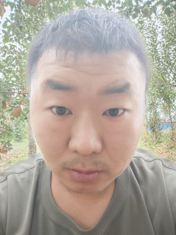 明天的第一张照片--政和相亲网