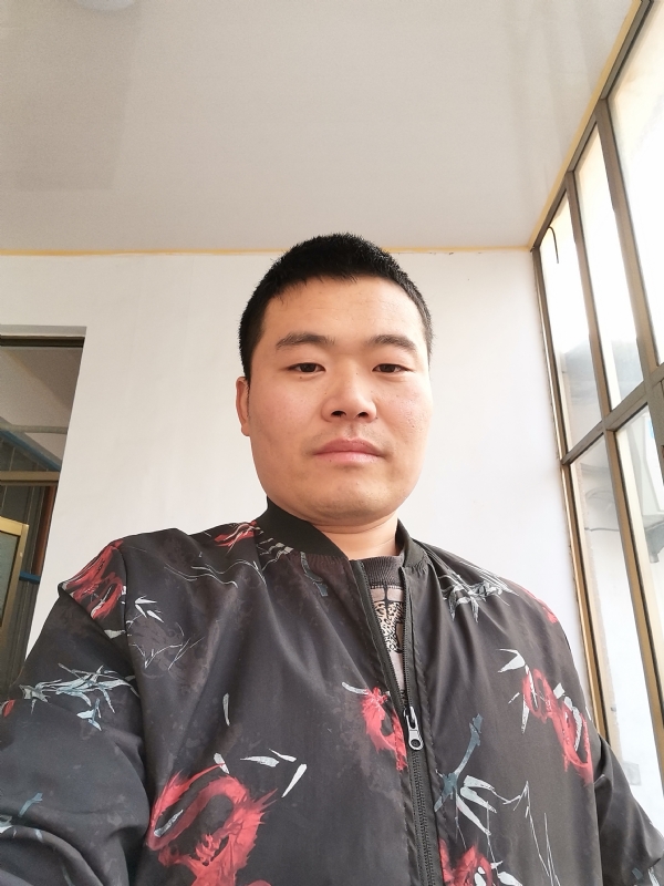 会飞的猪的第一张照片--政和相亲网