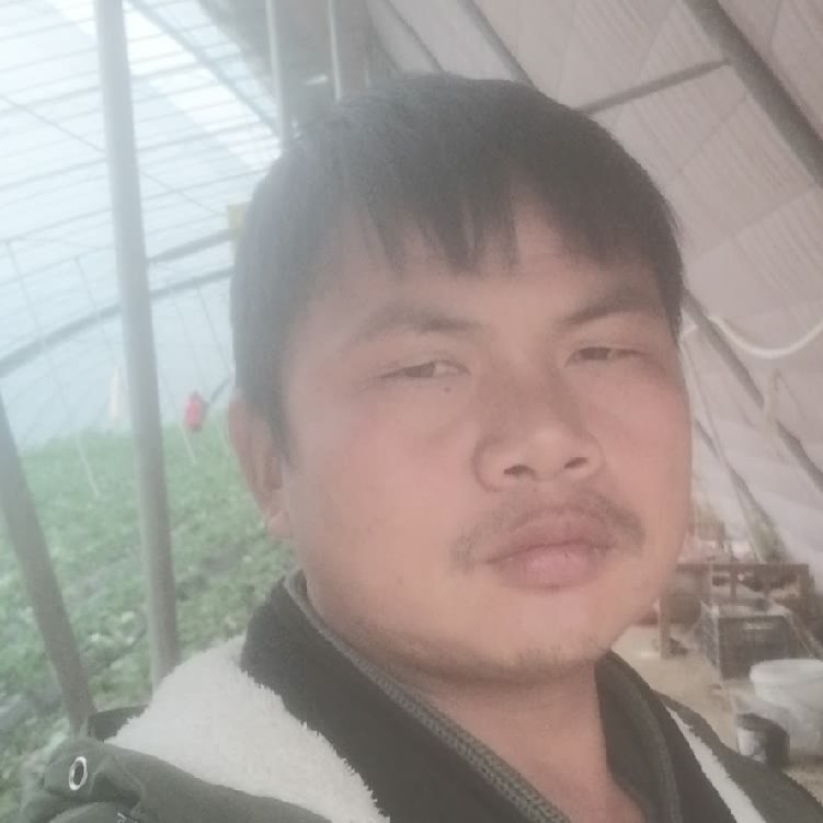 孤狼‘的第一张照片--政和相亲网