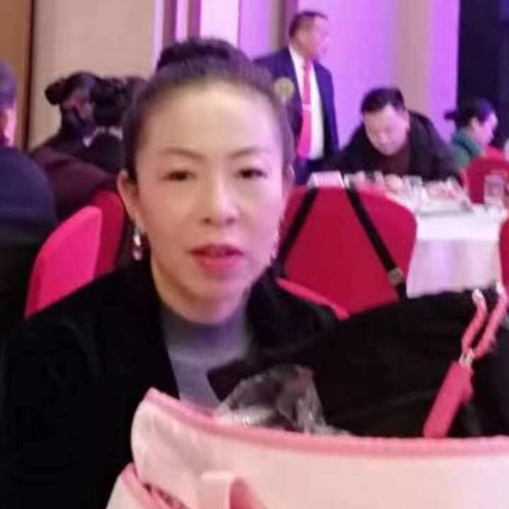 中秋桂花玉兔的第四张照片--政和相亲网