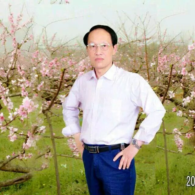 枫叶的第一张照片--政和相亲网